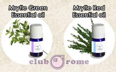 The Ancient Secret of the Mediterranean: Myrtle Oil