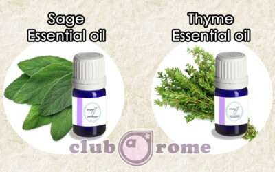 Dive into the powerful world of Sage and Thyme essential oils!